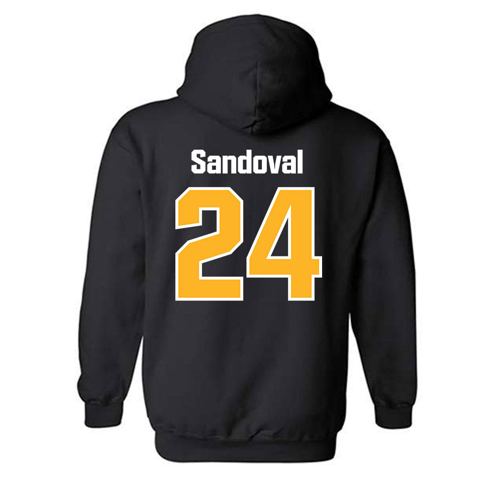 SJSU - NCAA Softball : Isabella Sandoval - Classic Shersey Hooded Sweatshirt-1
