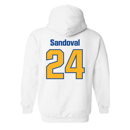 SJSU - NCAA Softball : Isabella Sandoval - Classic Shersey Hooded Sweatshirt-1