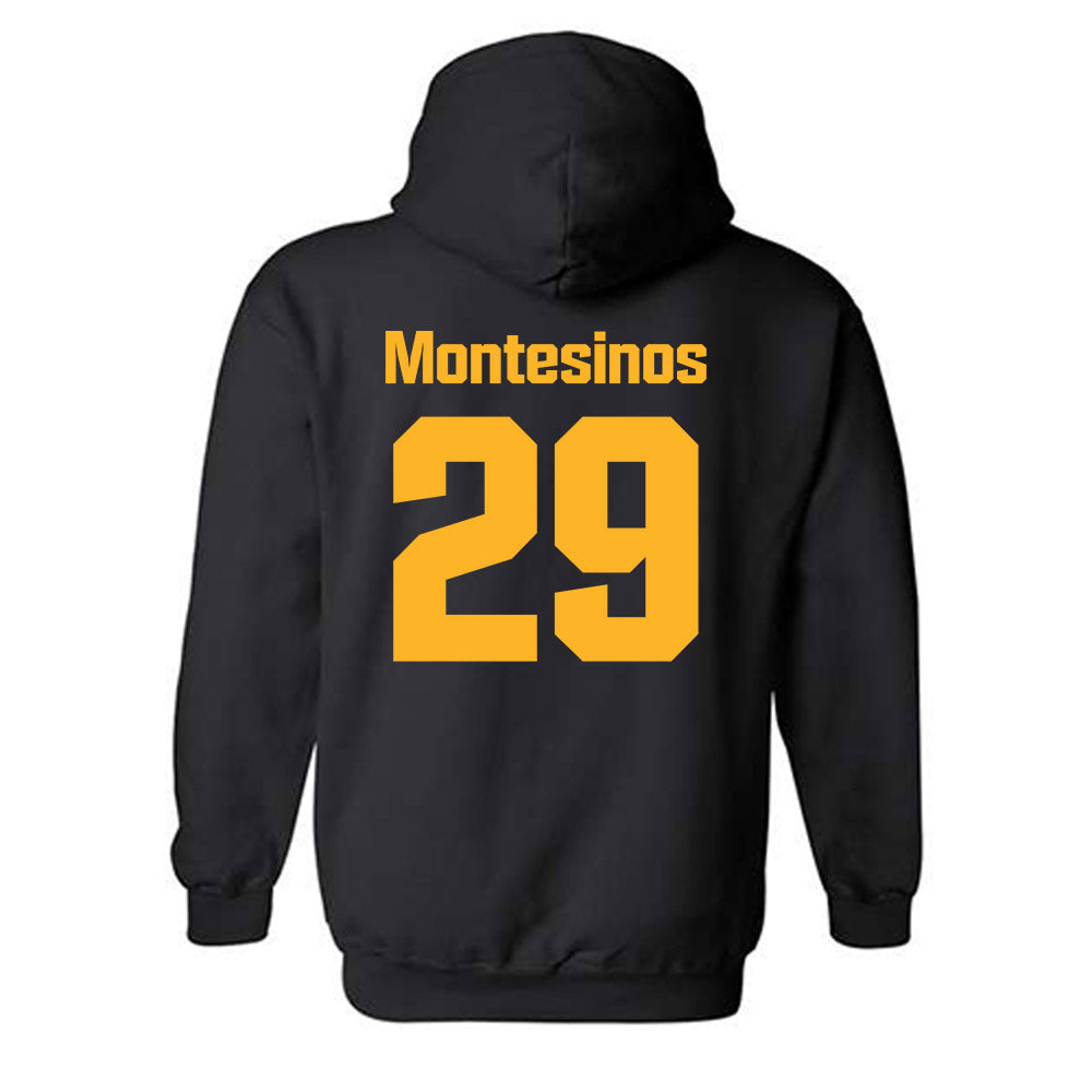 SJSU - NCAA Women's Soccer : Lily Montesinos - Classic Shersey Hooded Sweatshirt-1