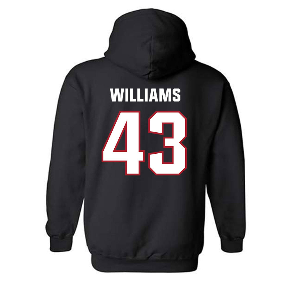 Dallas Baptist - NCAA Baseball : Miles Williams - Classic Shersey Hooded Sweatshirt-1