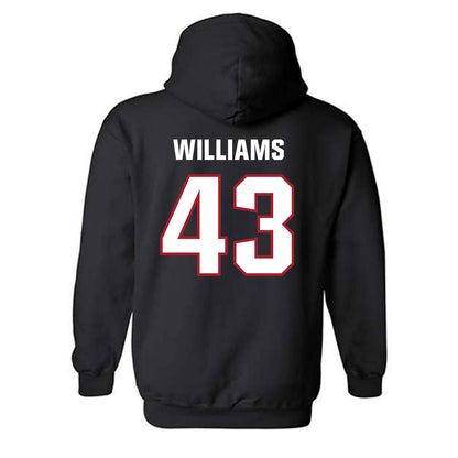 Dallas Baptist - NCAA Baseball : Miles Williams - Classic Shersey Hooded Sweatshirt-1