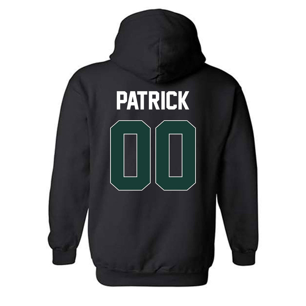 Lake Erie College - NCAA Men's Basketball : Braison Patrick - Classic Shersey Hooded Sweatshirt-1
