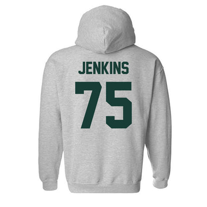 Lake Erie College - NCAA Football : Dylan Jenkins - Hooded Sweatshirt-1