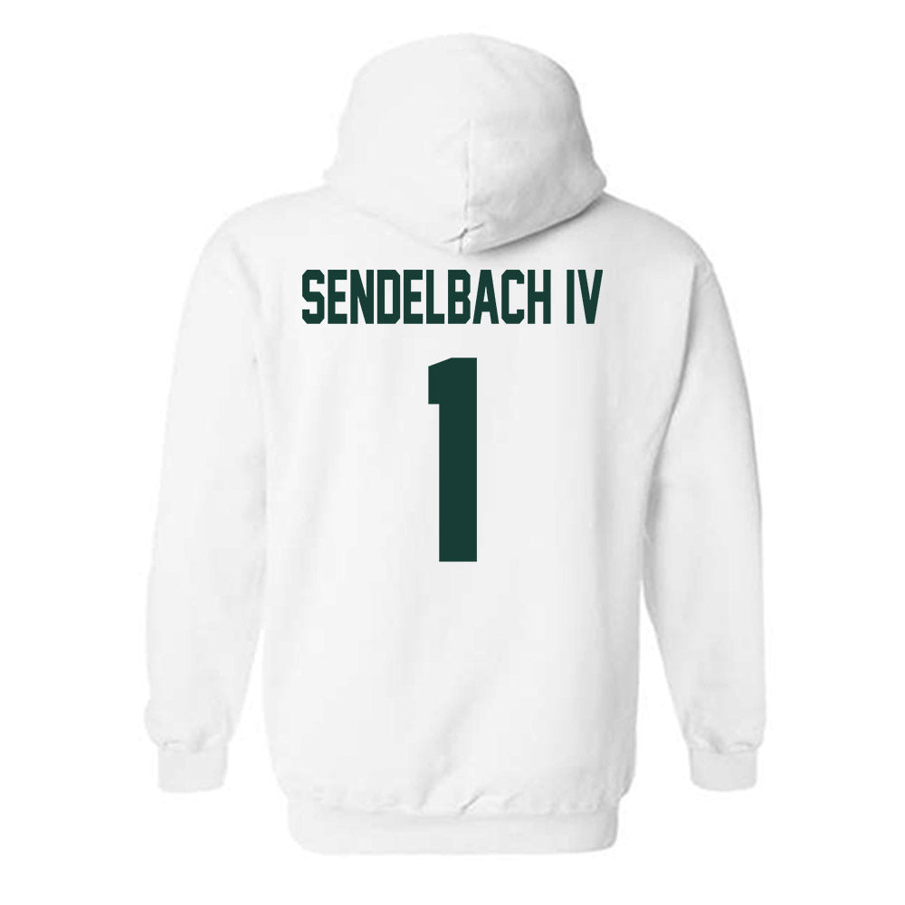 Lake Erie College - NCAA Men's Lacrosse : Joey Sendelbach IV - Hooded Sweatshirt-1