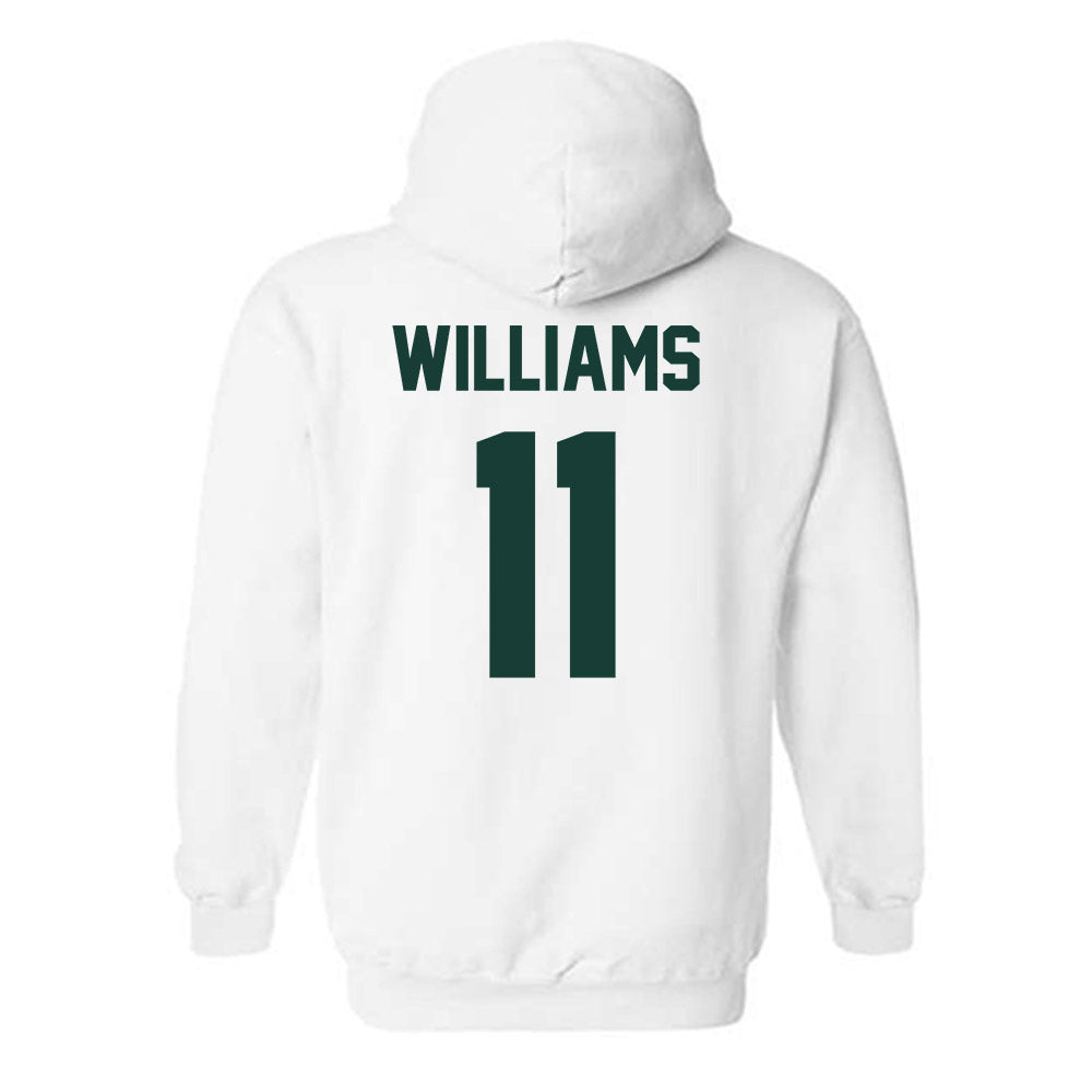 Lake Erie College - NCAA Men's Basketball : Amari Williams - Hooded Sweatshirt-1