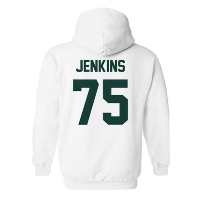 Lake Erie College - NCAA Football : Dylan Jenkins - Hooded Sweatshirt-1