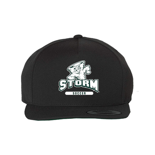 Lake Erie College - NCAA Men's Soccer : Lucas Howe - Snapback Hat-0