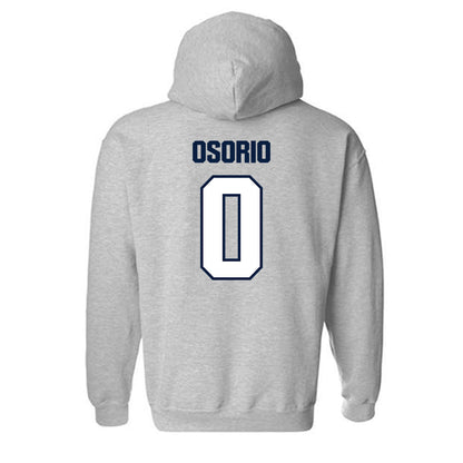 Jackson State - NCAA Baseball : Alfred Osorio - Classic Shersey Hooded Sweatshirt-1