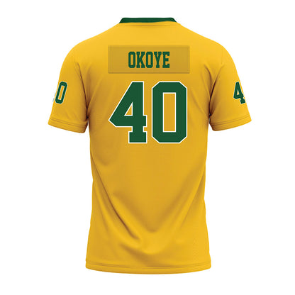 SELU - NCAA Football : Jordan Okoye - Premium Football Jersey-1