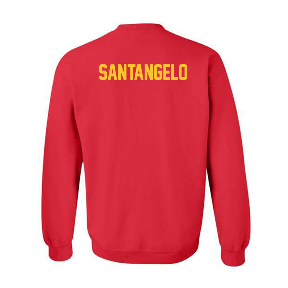 Ferris State - NCAA Men's Tennis : Alessandro santangelo - Classic Shersey Crewneck Sweatshirt-1