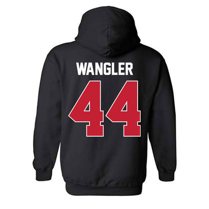 Ferris State - NCAA Softball : Addison Wangler - Classic Shersey Hooded Sweatshirt-1
