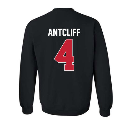 Ferris State - NCAA Softball : Paige Antcliff - Classic Shersey Crewneck Sweatshirt-1