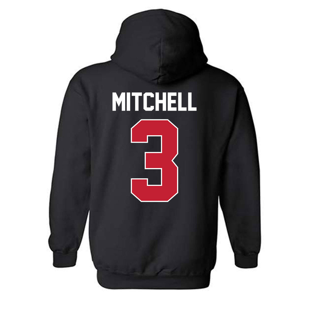 Ferris State - NCAA Women's Basketball : Mara Mitchell - Classic Shersey Hooded Sweatshirt-1