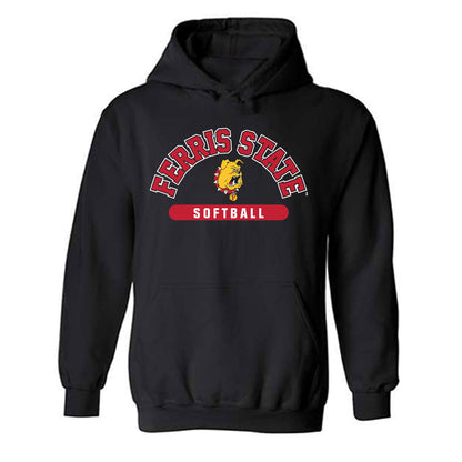 Ferris State - NCAA Softball : Addison Wangler - Classic Shersey Hooded Sweatshirt-0