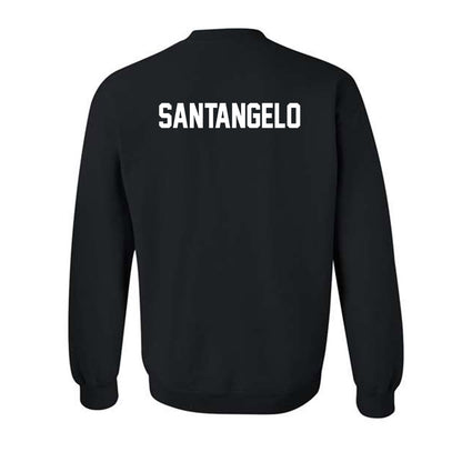 Ferris State - NCAA Men's Tennis : Alessandro santangelo - Classic Shersey Crewneck Sweatshirt-1