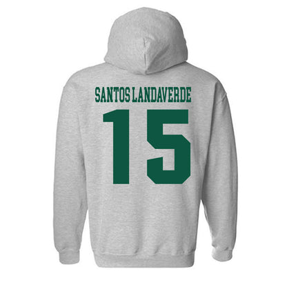 Fitchburg State - NCAA Men's Soccer : Francisco Jair Santos Landaverde - Classic Shersey Hooded Sweatshirt-1