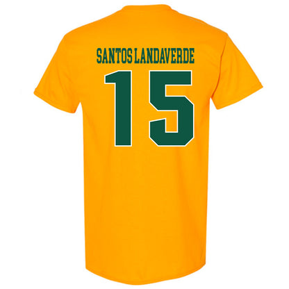 Fitchburg State - NCAA Men's Soccer : Francisco Jair Santos Landaverde - Classic Shersey T-Shirt-1