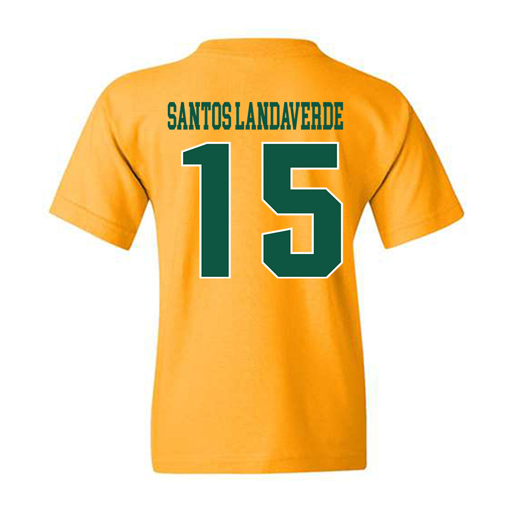 Fitchburg State - NCAA Men's Soccer : Francisco Jair Santos Landaverde - Classic Shersey Youth T-Shirt-1