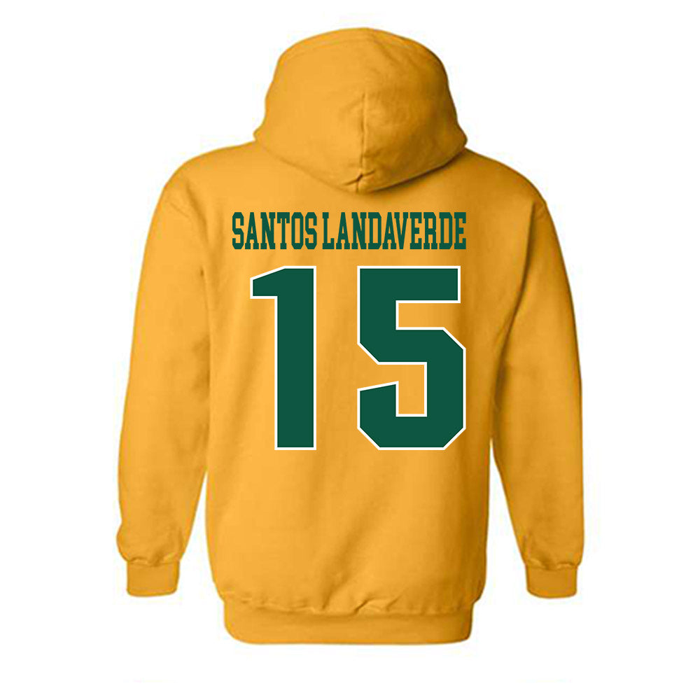 Fitchburg State - NCAA Men's Soccer : Francisco Jair Santos Landaverde - Classic Shersey Hooded Sweatshirt-1