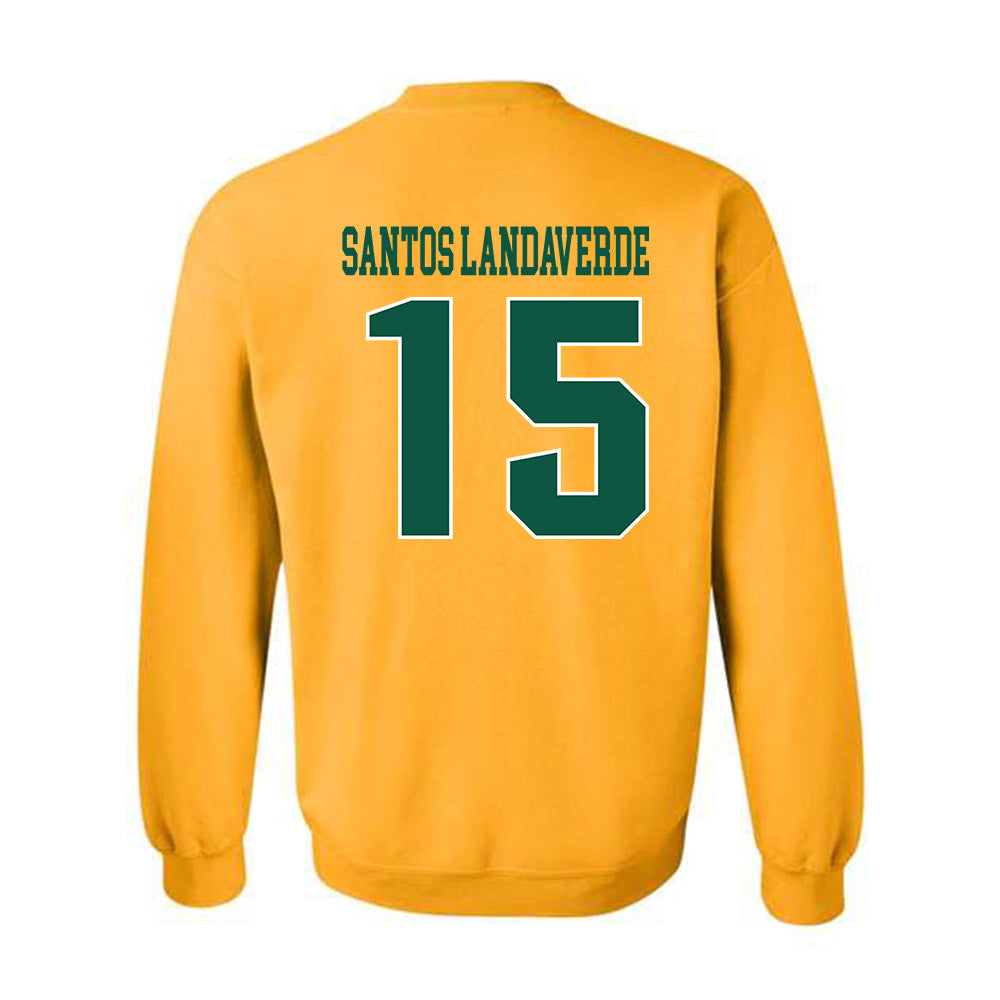 Fitchburg State - NCAA Men's Soccer : Francisco Jair Santos Landaverde - Classic Shersey Crewneck Sweatshirt-1