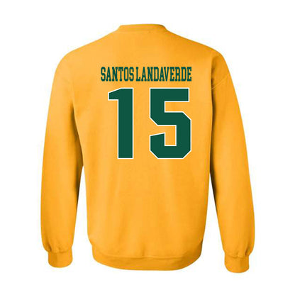 Fitchburg State - NCAA Men's Soccer : Francisco Jair Santos Landaverde - Classic Shersey Crewneck Sweatshirt-1