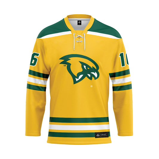 Fitchburg State - NCAA Men's Ice Hockey : Hunter Dunn - Gold Hockey Jersey-0