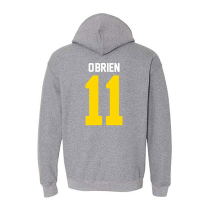 Western Michigan - NCAA Softball : Rylee O'Brien - Classic Shersey Hooded Sweatshirt-1