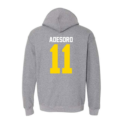 Western Michigan - NCAA Men's Tennis : Ashton Adesoro - Classic Shersey Hooded Sweatshirt-1