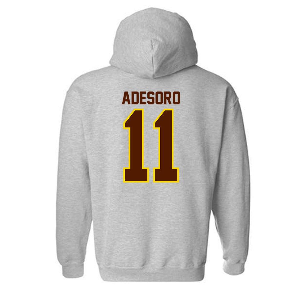 Western Michigan - NCAA Men's Tennis : Ashton Adesoro - Classic Shersey Hooded Sweatshirt-1