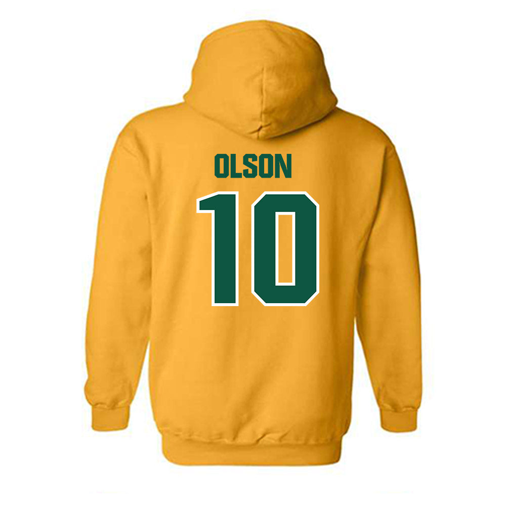 Northern Michigan - NCAA Football : Isaac Olson - Classic Shersey Hooded Sweatshirt-1