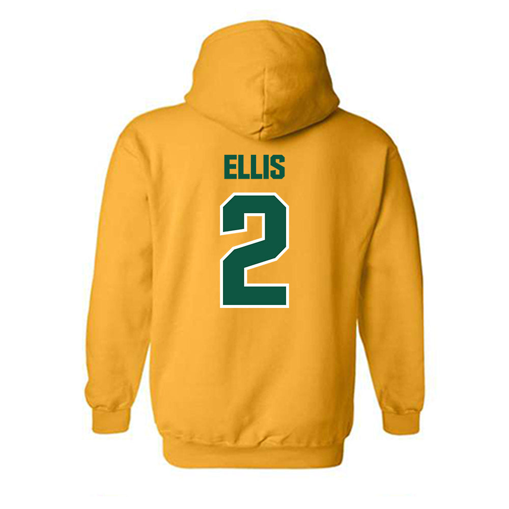 Northern Michigan - NCAA Women's Soccer : Gretchen Ellis - Classic Shersey Hooded Sweatshirt-1