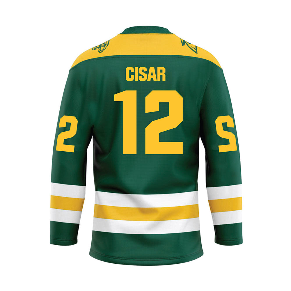 Northern Michigan - NCAA Men's Ice Hockey : Peter Cisar - Hockey Jersey-1
