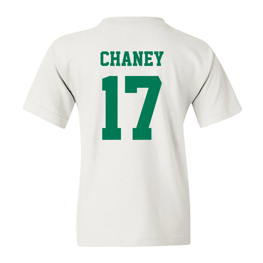 Norfolk State - NCAA Women's Volleyball : Amari Chaney - Classic Shersey Youth T-Shirt-1