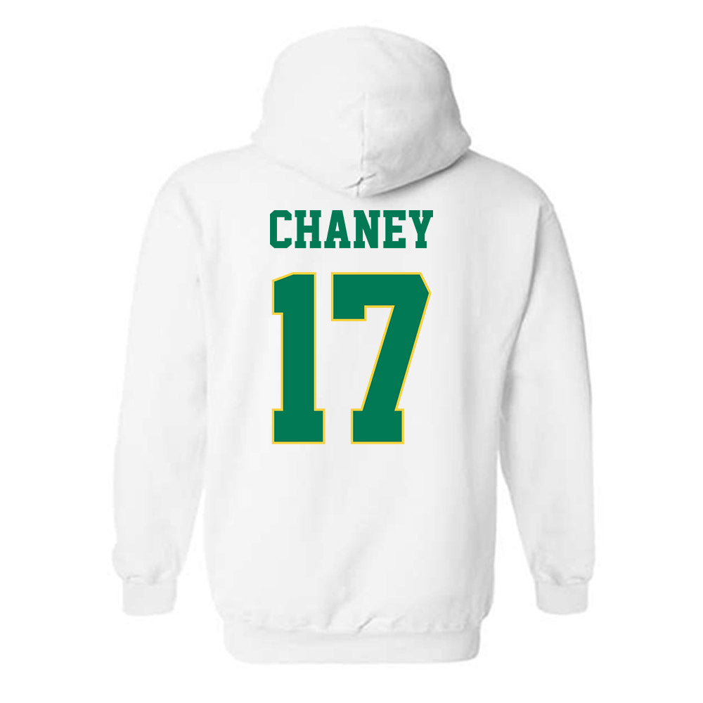 Norfolk State - NCAA Women's Volleyball : Amari Chaney - Classic Shersey Hooded Sweatshirt-1