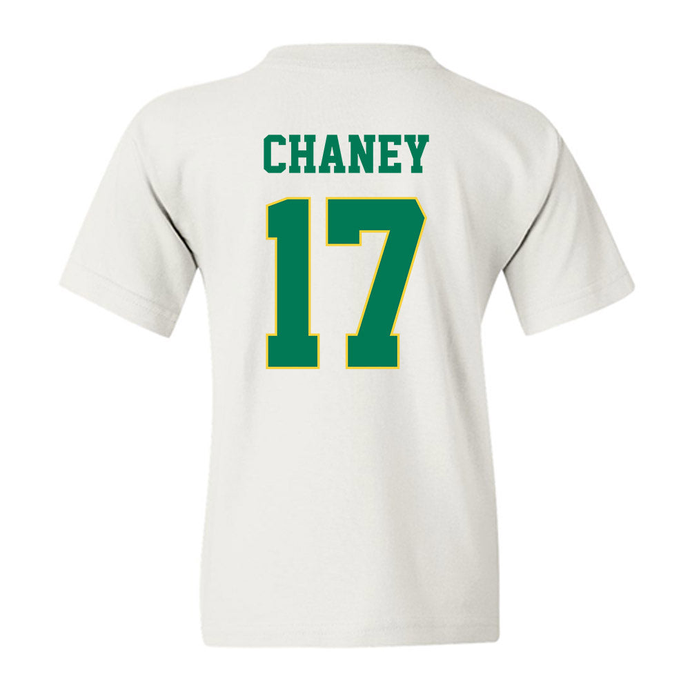 Norfolk State - NCAA Women's Volleyball : Amari Chaney - Classic Shersey Youth T-Shirt-1