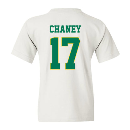 Norfolk State - NCAA Women's Volleyball : Amari Chaney - Classic Shersey Youth T-Shirt-1