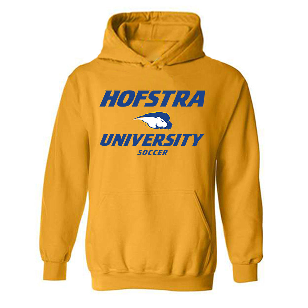 Hofstra - NCAA Men's Soccer : Anthony Grodzki - Classic Shersey Hooded Sweatshirt-0