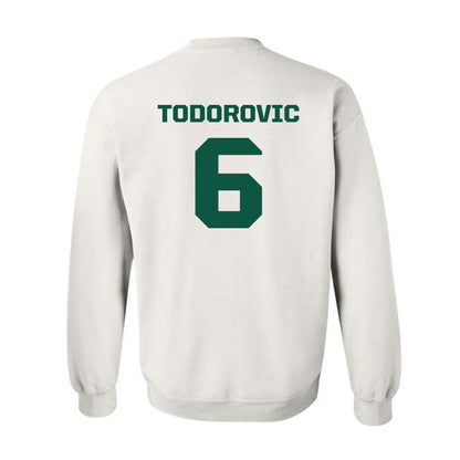 UW Green Bay - NCAA Men's Basketball : Vukasin Todorovic - Classic Shersey Crewneck Sweatshirt-1