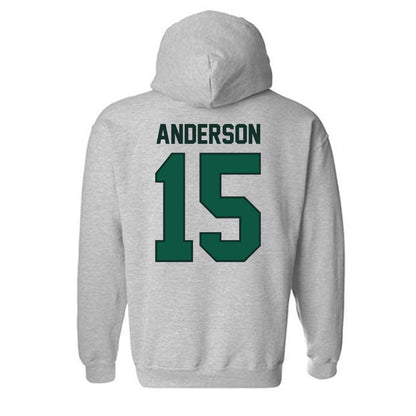 UW Green Bay - NCAA Softball : Gracie Anderson - Classic Shersey Hooded Sweatshirt-1