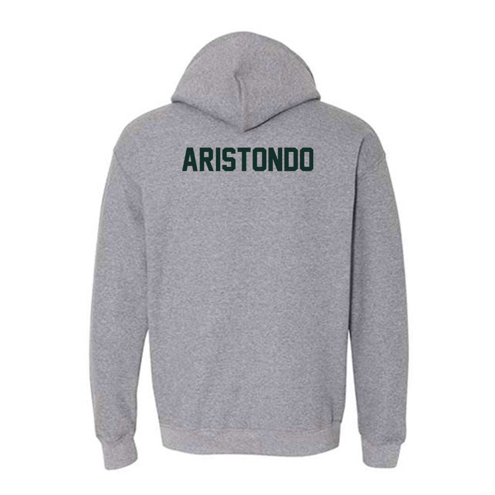 UW Green Bay - NCAA Men's Swimming & Diving : Chris Aristondo - Classic Shersey Hooded Sweatshirt-1