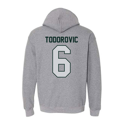 UW Green Bay - NCAA Men's Basketball : Vukasin Todorovic - Classic Shersey Hooded Sweatshirt-1