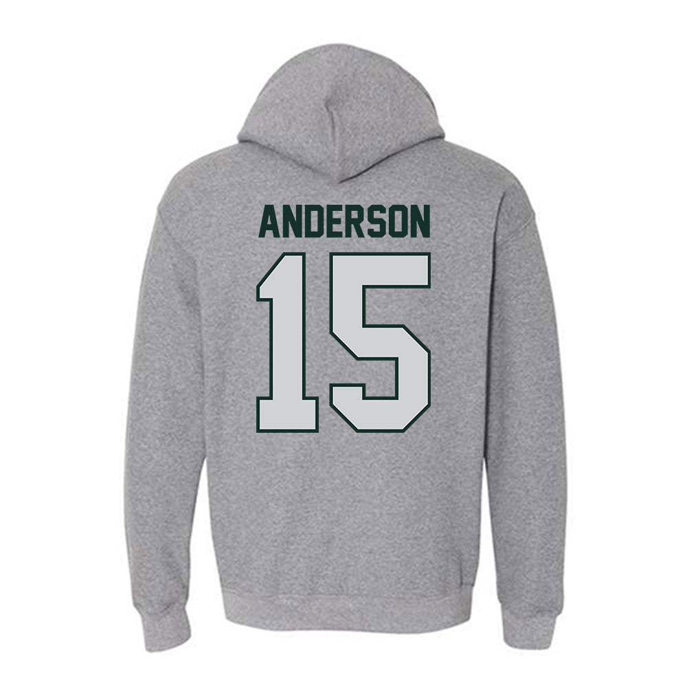 UW Green Bay - NCAA Softball : Gracie Anderson - Classic Shersey Hooded Sweatshirt-1