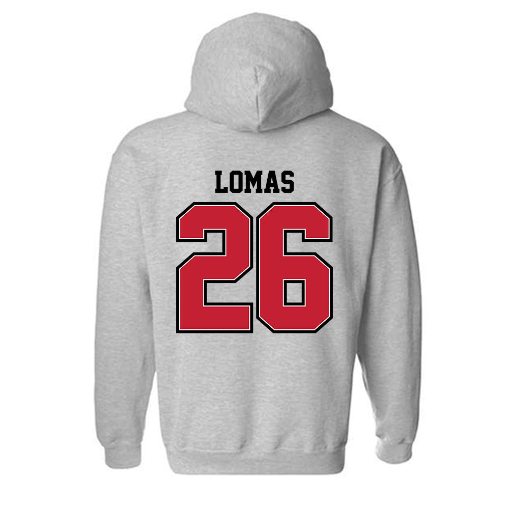 UW River Falls - NCAA Baseball : Caydon Lomas - Classic Shersey Hooded Sweatshirt-1
