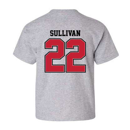 UW River Falls - NCAA Baseball : Brett Sullivan - Classic Shersey Youth T-Shirt-1