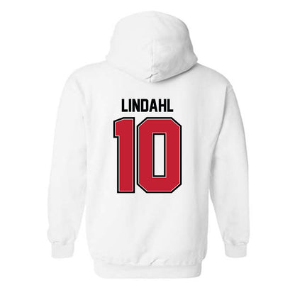UW River Falls - NCAA Men's Ice Hockey : Ethan Lindahl - Classic Shersey Hooded Sweatshirt-1