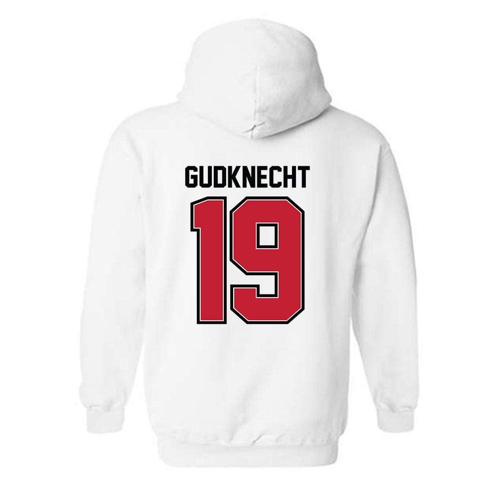 UW River Falls - NCAA Women's Volleyball : Hannah Gudknecht - Classic Shersey Hooded Sweatshirt-1