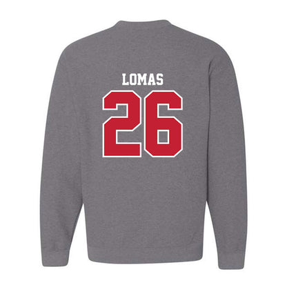 UW River Falls - NCAA Baseball : Caydon Lomas - Classic Shersey Crewneck Sweatshirt-1