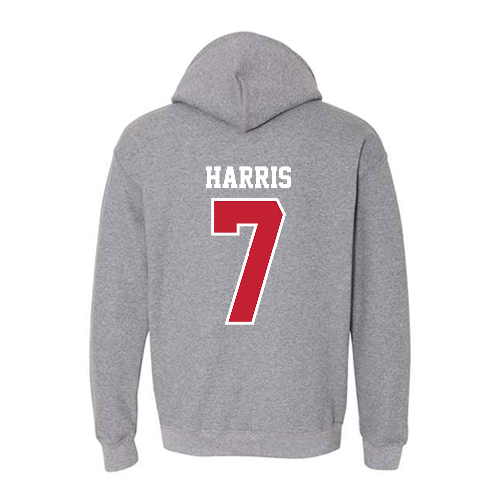 UW River Falls - NCAA Men's Soccer : Ben Harris - Classic Shersey Hooded Sweatshirt-1