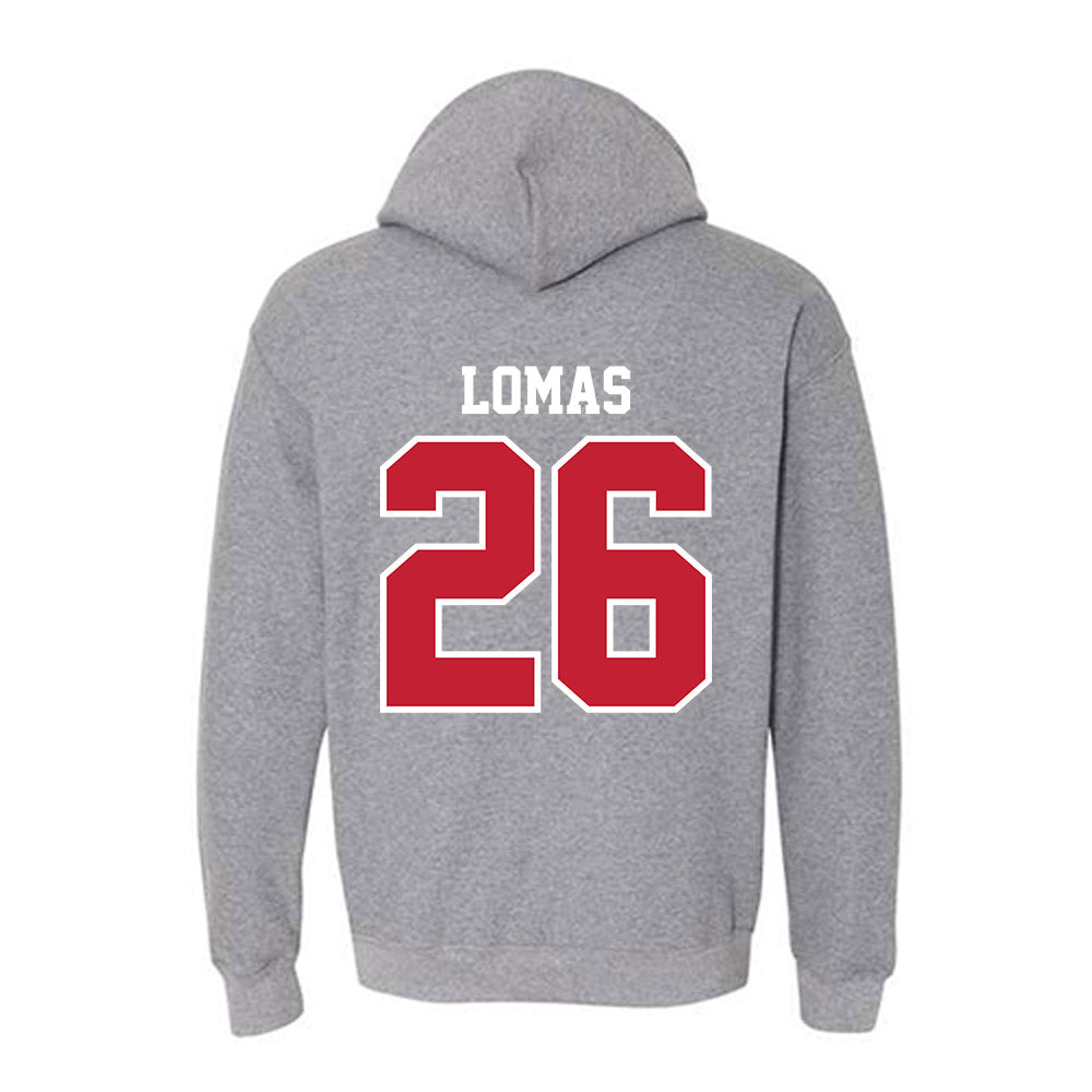 UW River Falls - NCAA Baseball : Caydon Lomas - Classic Shersey Hooded Sweatshirt-1