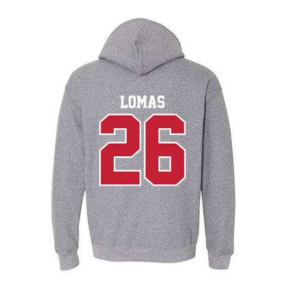 UW River Falls - NCAA Baseball : Caydon Lomas - Classic Shersey Hooded Sweatshirt-1